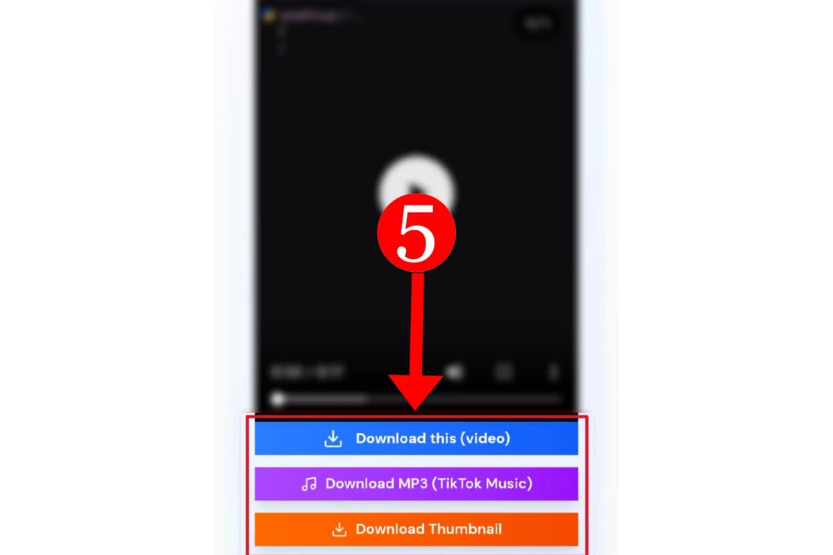 Download TikTok Video